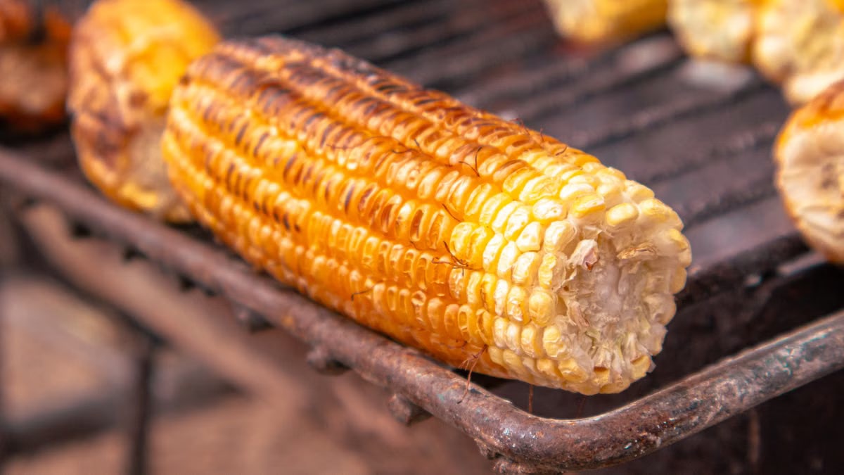 Close-up of grilled corn on the cob over a charcoal grill, capturing its golden texture and appetizing look.